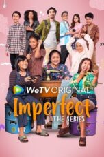 Imperfect: The Series Season 1 (2021) Imperfect: The Series Season 1 (2021)